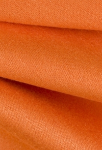 219908 Orange